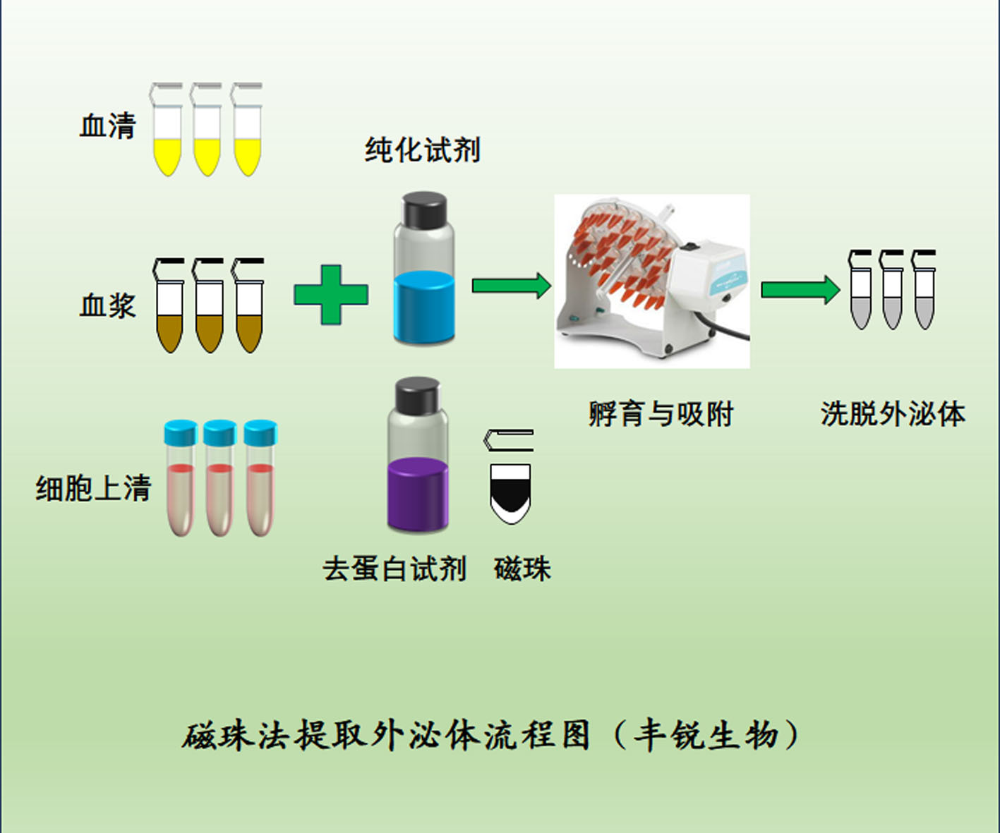 外泌体纯化与检测试剂