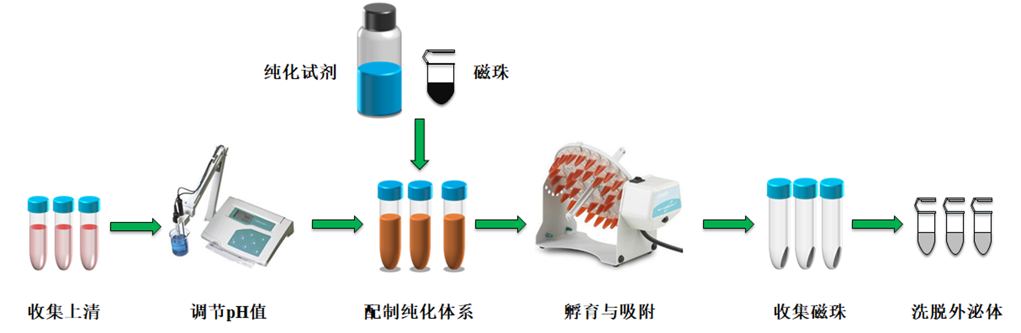 细胞上清外泌体纯化流程图副本.png