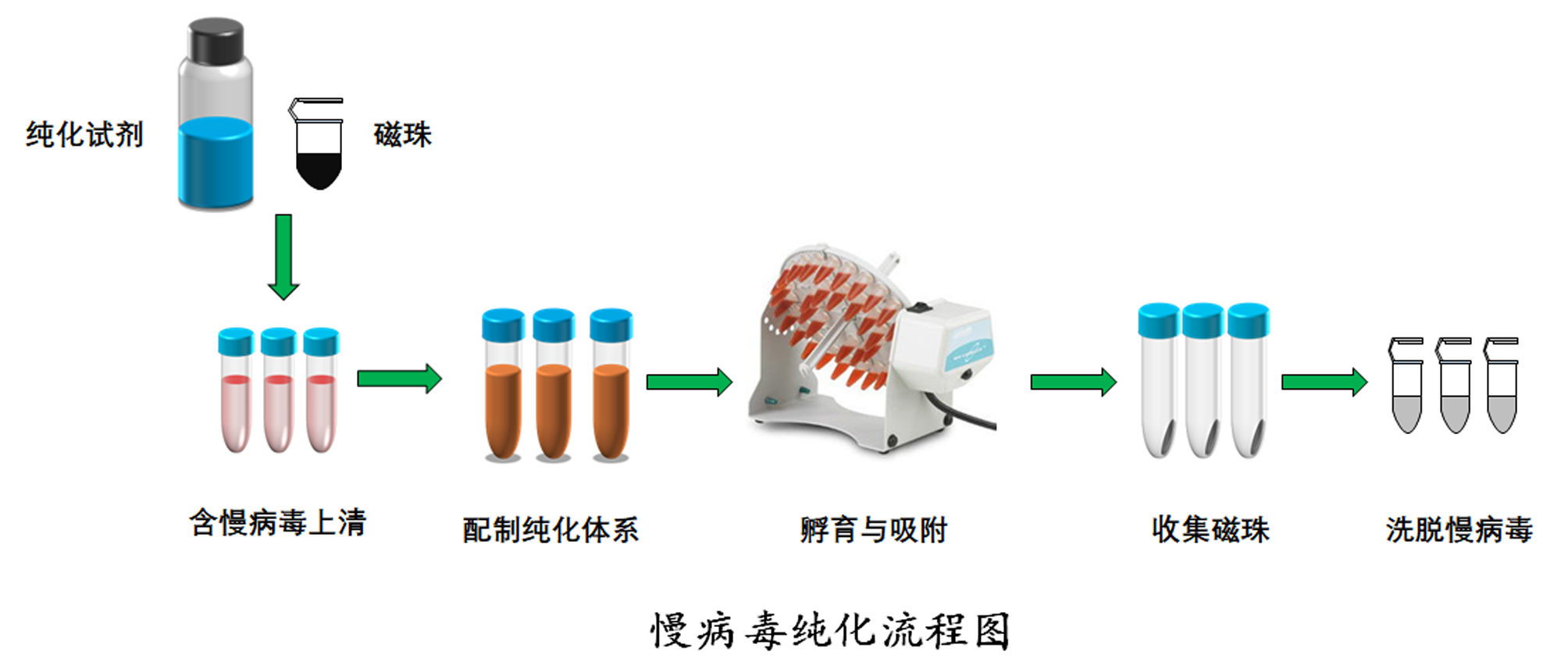 慢病毒纯化流程副本.png